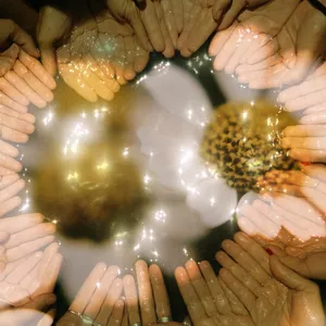 Imagem de capa para o Curso online Ciclo Feminino - Tempo das Flores