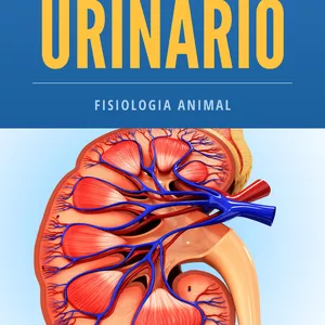 Imagem de capa para o Ebook Fisiologia do Sistema Urinário