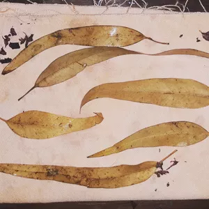 Imagem de capa para o Ebook Ebook Impressão Botânica em Tecidos