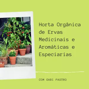 Imagem principal do produto Curso On-Line: Horta Orgânica de Ervas Medicinais e Aromáticas e Especiarias