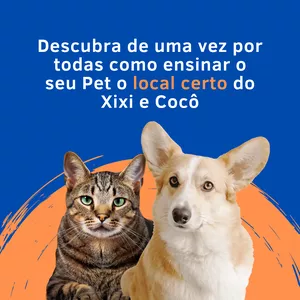 Imagem de capa para o Ebook Xixi e cocô no lugar certo.