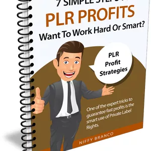 Cover image for Ebook 7 simple steps to PLR PROFIT