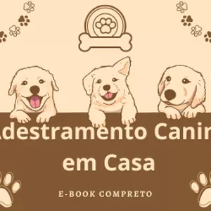 Imagem de capa para o Ebook Adestramento Canino em Casa 01