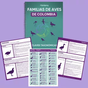 Imagen de portada para Ebook Ebook: Familias de Aves de Colombia