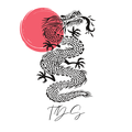 Tiger Dragon Storm School of Awakening logo