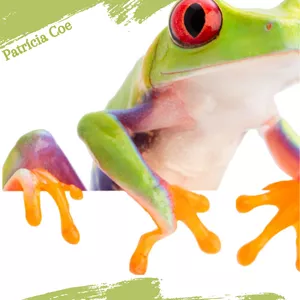 Imagem de capa para o Ebook Sam, O Sapo Saltitante