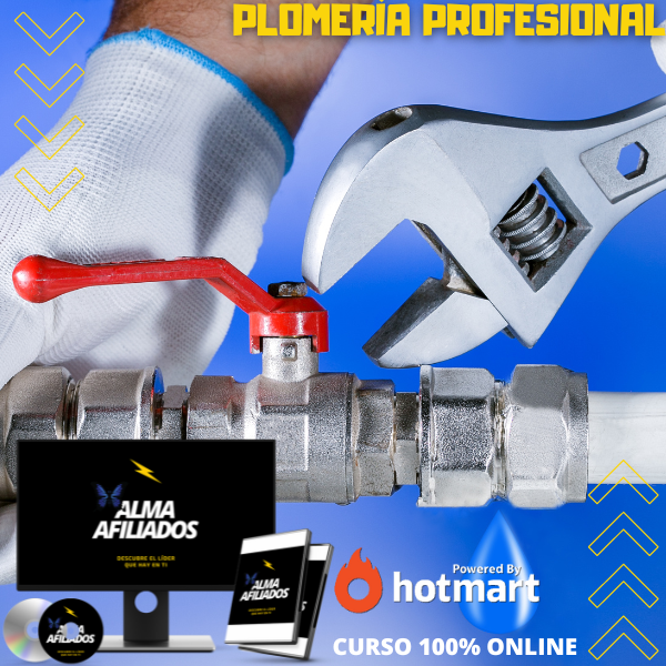CURSO DE PLOMERIA PROFESIONAL