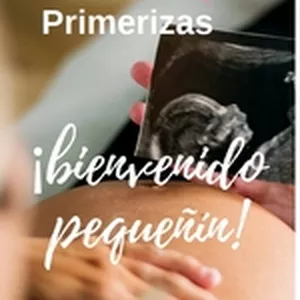 Imagen de portada para Ebook Guía para Embarazadas Primerizas
