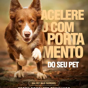 Imagem de capa para o Ebook Acelere o comportamento do seu pet