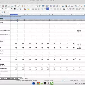Imagem de capa para o Ebook Planilha Excel para Apuração de PIS e Cofins