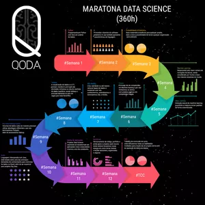 Imagem de capa para o Curso online Mentoria DATA SCIENCE EM 12 SEMANAS com Weber