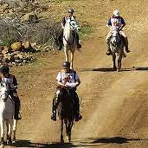 Imagem de capa para o Curso online Treinamento de Enduro Avançado do Cavalo - com Dr. Fernando gondim