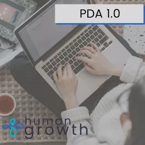 Imagen de portada para Curso online PDA 1.0 - Reporte &amp; Video Explicativo General.