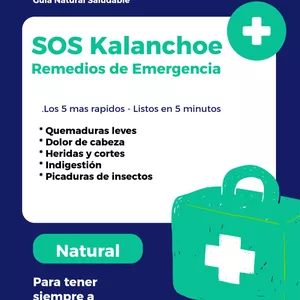 Imagen de portada para Ebook SOS Kalanchoe - Remedios de Emergencia