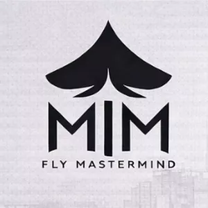 Imagen de portada para Curso online MASTERMIND 2026