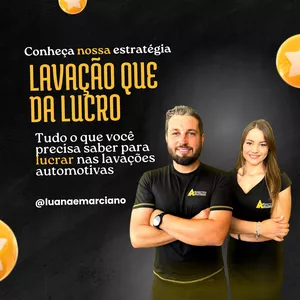 Imagem de capa para o Curso online Lavação que da lucro