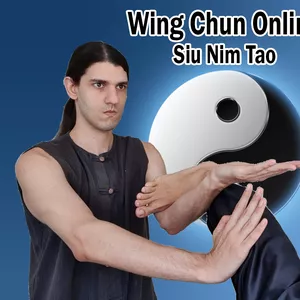 Imagem de capa para o Curso online Wing Chun Kung Fu com Shifu Flavio: Siu Nim Tao