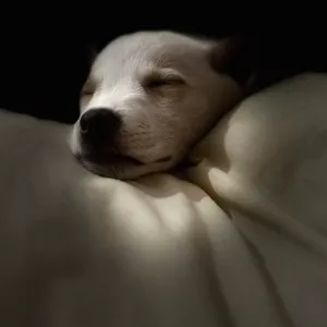 Imagen de portada para Ebook Descubre el arte de dormir bien sin pastillas ni aplicaciones