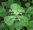 Mindful Guidance: Health-Behavior-Mindset