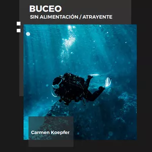Imagen de portada para Ebook Buceando con tiburones