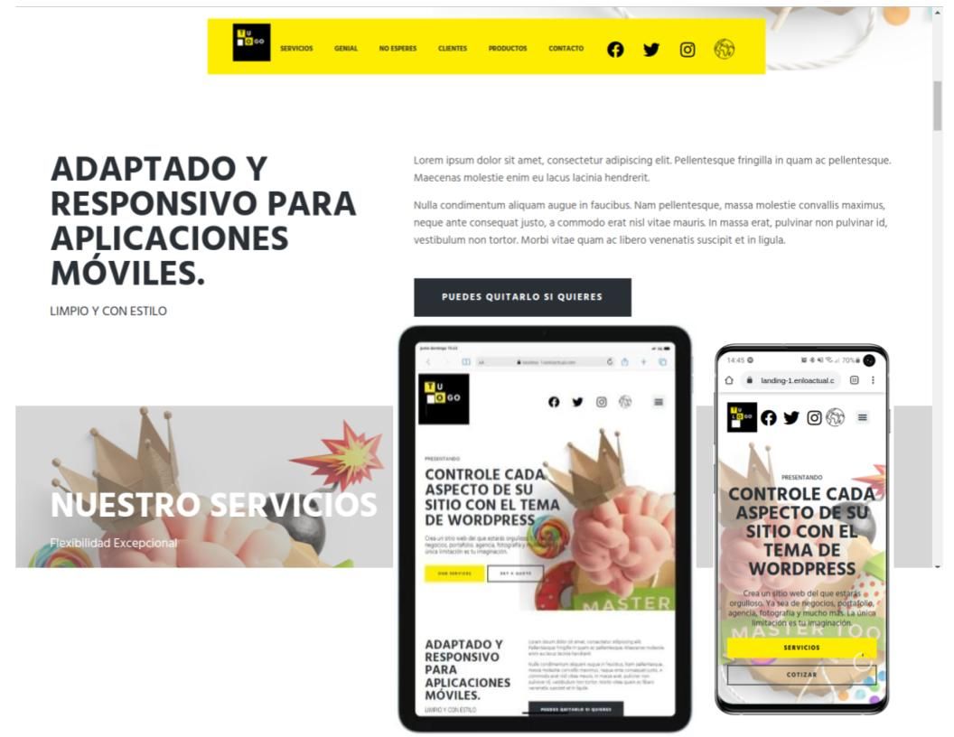 NOMBRE DEL PRODUCTO