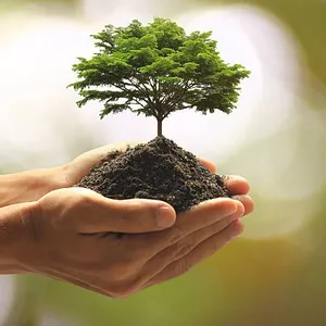 Cover image for Online course  Guardian Angel Prayer by Carlo Acutis