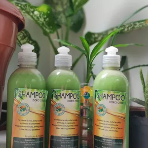 Imagen de portada para Curso online Shampoo Dora celly  
