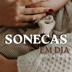 Imagem de capa para o Ebook SONECA EM DIA