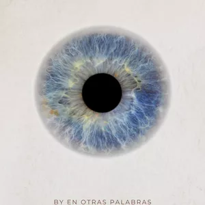 Cover image for Ebook Bible in action