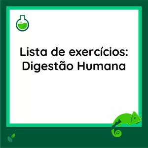 Imagem de capa para o Curso online DISCURSIVA: Digestão Humana