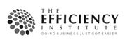 The Efficiency Institute