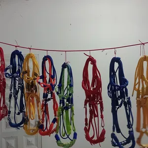 Imagen de portada para Curso online APEROS Y RIENDAS J&amp;A