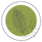 Herba Sapientia Heilpflanzenschule