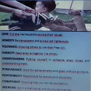 Cover image for Ebook The Values