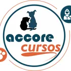 Foto do autor Accore Cursos