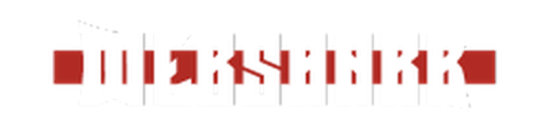 Webshark Acadamy logo