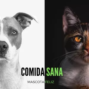 Imagen de portada para Ebook Recetas Caseras Para Tus Mascotas