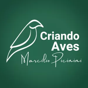 Imagem de capa para o Curso online Criando Aves com Marcílio Picinini