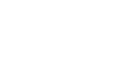 DAHUA CHINESE logo