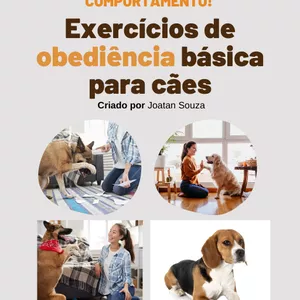 Imagem principal do produto Ebook Adestramento de Cães