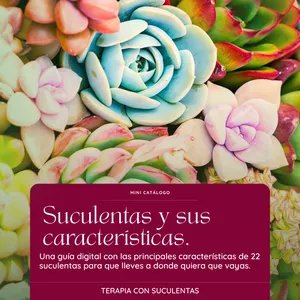 Imagen de portada para Ebook Guía Digital | El Catálogo de Mini Suculentas