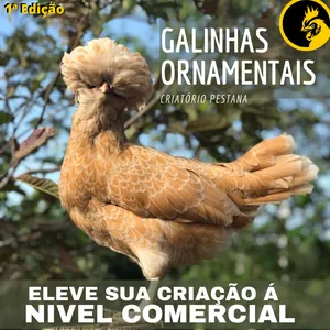 Curso TUDO SOBRE GALINHAS ORNAMENTAIS - COMO ELEVAR SUA CRIAÇÃO Á NIVEL COMERCIAL