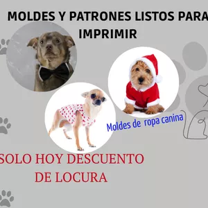 Imagen de portada para Ebook moldes de ropa Canina 