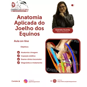 Imagem do curso ANATOMIA APLICADA DO JOELHO DOS EQUINOS (CAVALOS) VET - Veterinária Dra. Gabriela Guenka