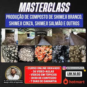 MasterClass - Produção de composto de shimeji branco, shimeji cinza, shimeji salmão e outros
