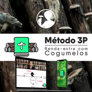 Imagem de capa para o Curso online Método 3P - Renda extra com Cogumelos