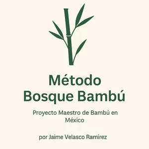 Imagen de portada para Ebook MÉTODO BOSQUE BAMBÚ Proyecto Maestro de Bambú en México
