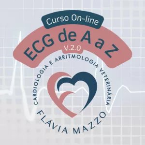 Imagem de capa para o Curso online ECG de A a Z - Renovação