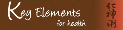 Key Elements for health logo