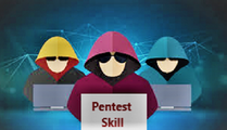 PentestSkills Technology LLP logo
